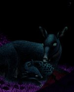 Les bébés animaux