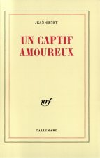 Un captif amoureux