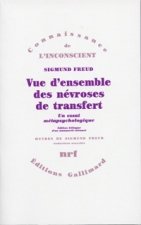 Vue d'ensemble des névroses de transfert