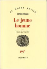 Le Jeune homme roman