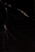 Le contraire de un