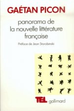 Panorama de la nouvelle littérature française