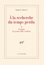 À l'ombre des jeunes filles en fleurs