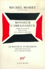 Monsieur l'Ambassadeur