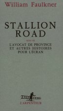 Stallion Road / L'Avocat de province et autres histoires pour l'écran