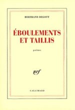 Éboulements et taillis