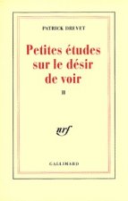 Petites études sur le désir de voir, II