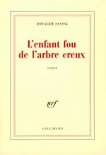 L'enfant fou de l'arbre creux