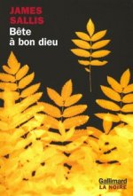 Bête à bon dieu