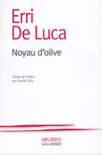 Noyau d'olive