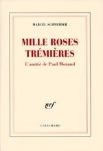 Mille roses trémières
