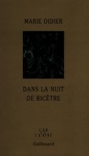 Dans la nuit de Bicêtre