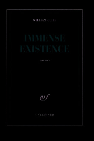 Immense existence