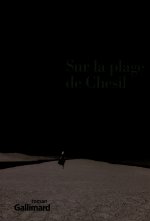 Sur la plage de Chesil