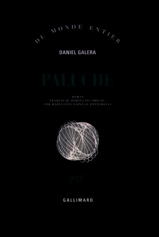 Paluche