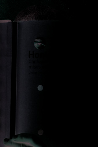 Hontes