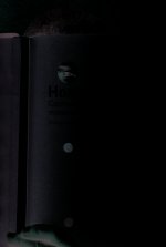 Hontes