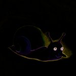 Margot l'escargot