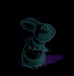 Adrien le Lapin