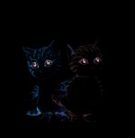 Marion et Simon les chatons