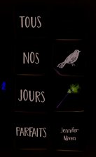 Tous nos jours parfaits