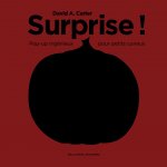 Surprise !