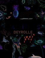 Le grand livre d'activités Deyrolle 1, 2