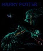 Harry Potter, un monde de magie