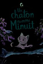 Un chaton nommé Minuit