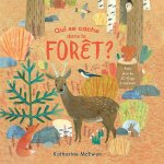 Qui se cache dans la foret