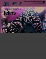 Petits et grands félins