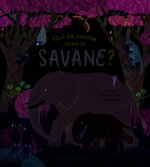 Qui se cache dans la savane ?