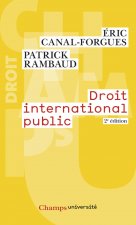 Droit international public