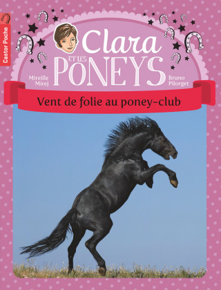 Vent de folie au poney-club