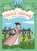 L'Amazone de Mademoiselle
