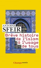 Brève histoire de l'Islam à l'usage de tous
