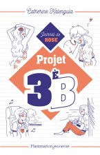Projet 3è B