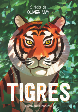 Tigres