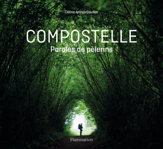 En chemin vers Compostelle