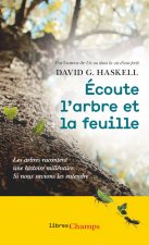 Écoute l'arbre et la feuille