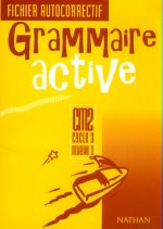 GRAMMAIRE ACTIVITE CM1 CYCLE 3 NIVEAU 3 FICHIER AUTOCORRECTIF