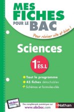 Mes Fiches ABC du BAC Sciences 1re ES-L