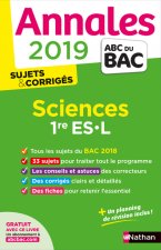 Annales Bac 2019 Sciences 1ère ES-L Corrigé