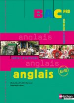 ANGLAIS CAHIER D'ACTIVITES BAC PRO B1 B2 ELEVE200 8 ANALYSER ET CONFRONTER