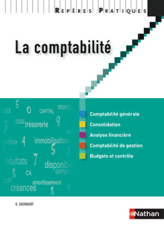 LA COMPTABILITE 2009 - REPERES PRATIQUES N13
