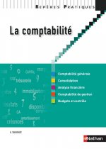 LA COMPTABILITE 2009 - REPERES PRATIQUES N13