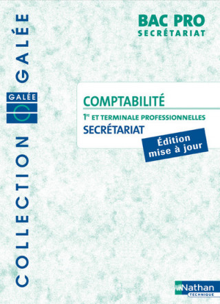 COMPTABILITE BAC PRO SECRETARIAT 1RE ET TERMINALE PROFESSIONNELLES COLLECTION GALEE