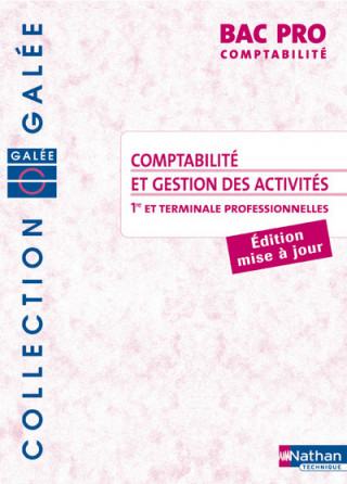 COMPTABILITE ET GESTION DES ACTIVITES BAC PRO COMPTABILITE ELEVE 2008 - COLLECTION GALEE