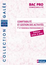 COMPTABILITE ET GESTION DES ACTIVITES BAC PRO COMPTABILITE ELEVE 2008 - COLLECTION GALEE