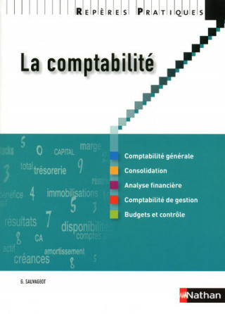 LA COMPTABILITE 2010 - REPERES PRATIQUES N13